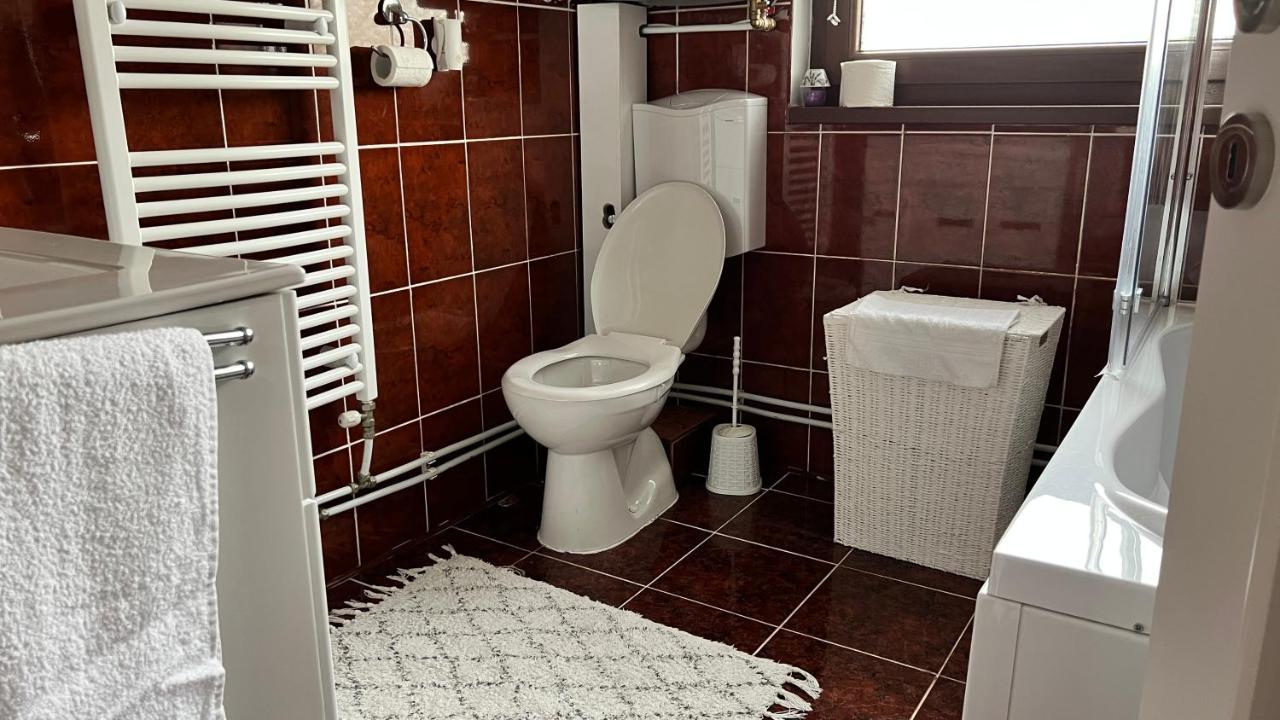 Travellers Apartment Cluj-Napoca Luaran gambar